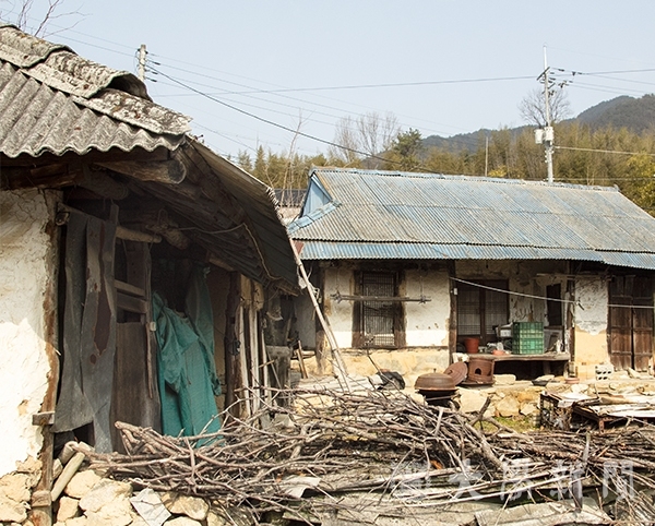 보한마을 인근에 있는 버려진 주택의 모습이다. 녹슨 철문과 가마솥, 뜯어진 벽지와 허물어진 담벼락은 그간 집이 얼마나 오래 방치됐는지 보여준다.