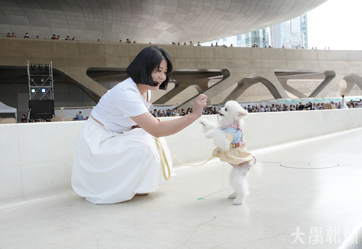 ▲런웨이 중간에 개인기를 보여주는 강아지와 보호자.