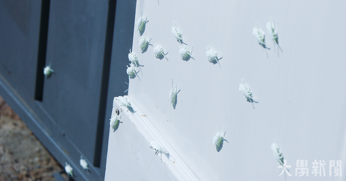 ▲문화관 공사 가벽에 전시된 〈정착공사 中〉. (사진: 신동민 기자)