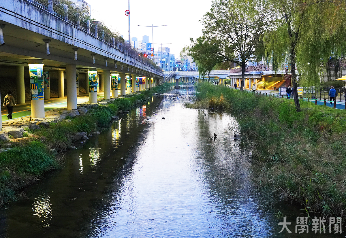 ▲자연과 어우러진 플러스 카지노내린천의 모습. 